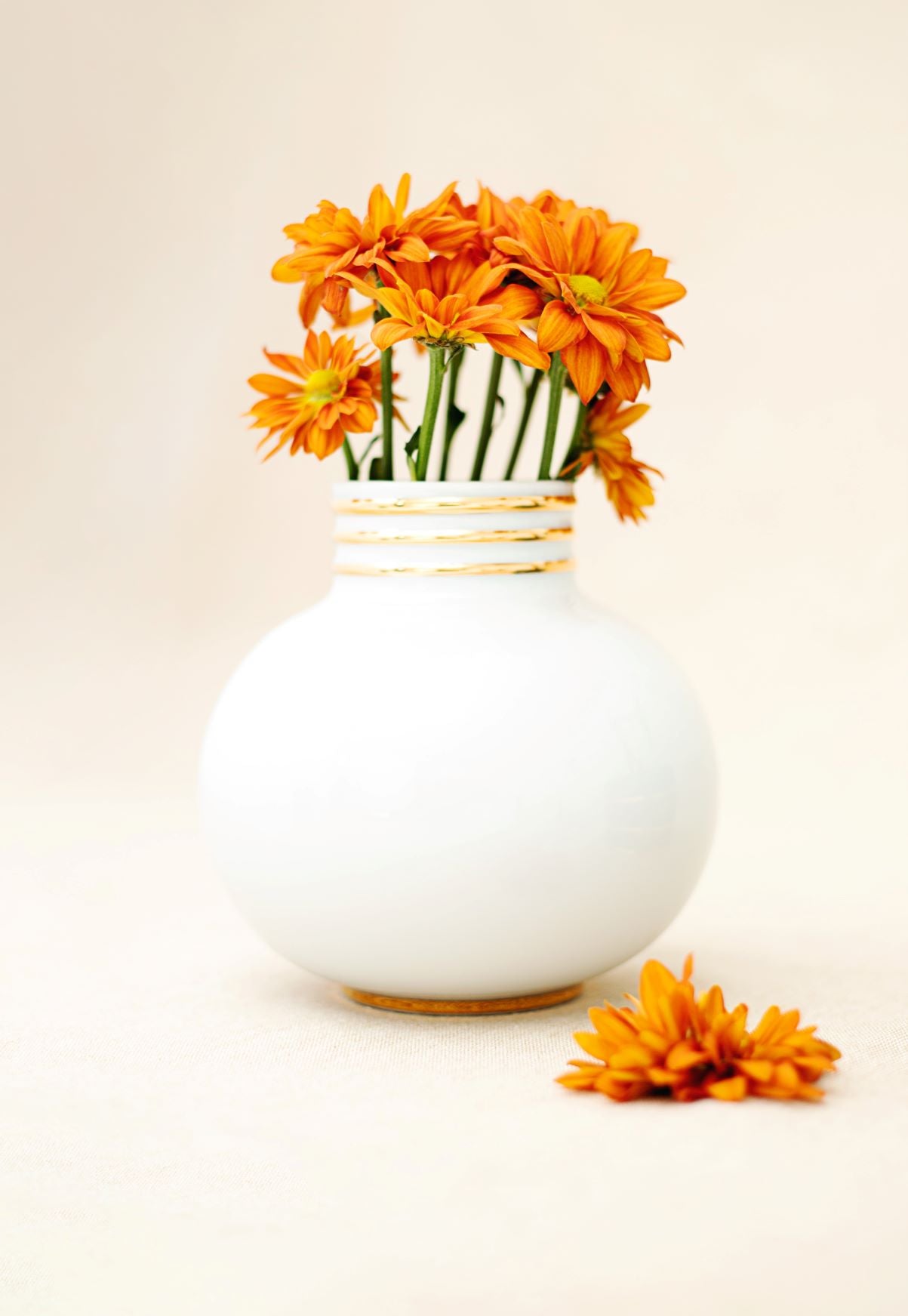 Casanoi Arienne White Accent Vase