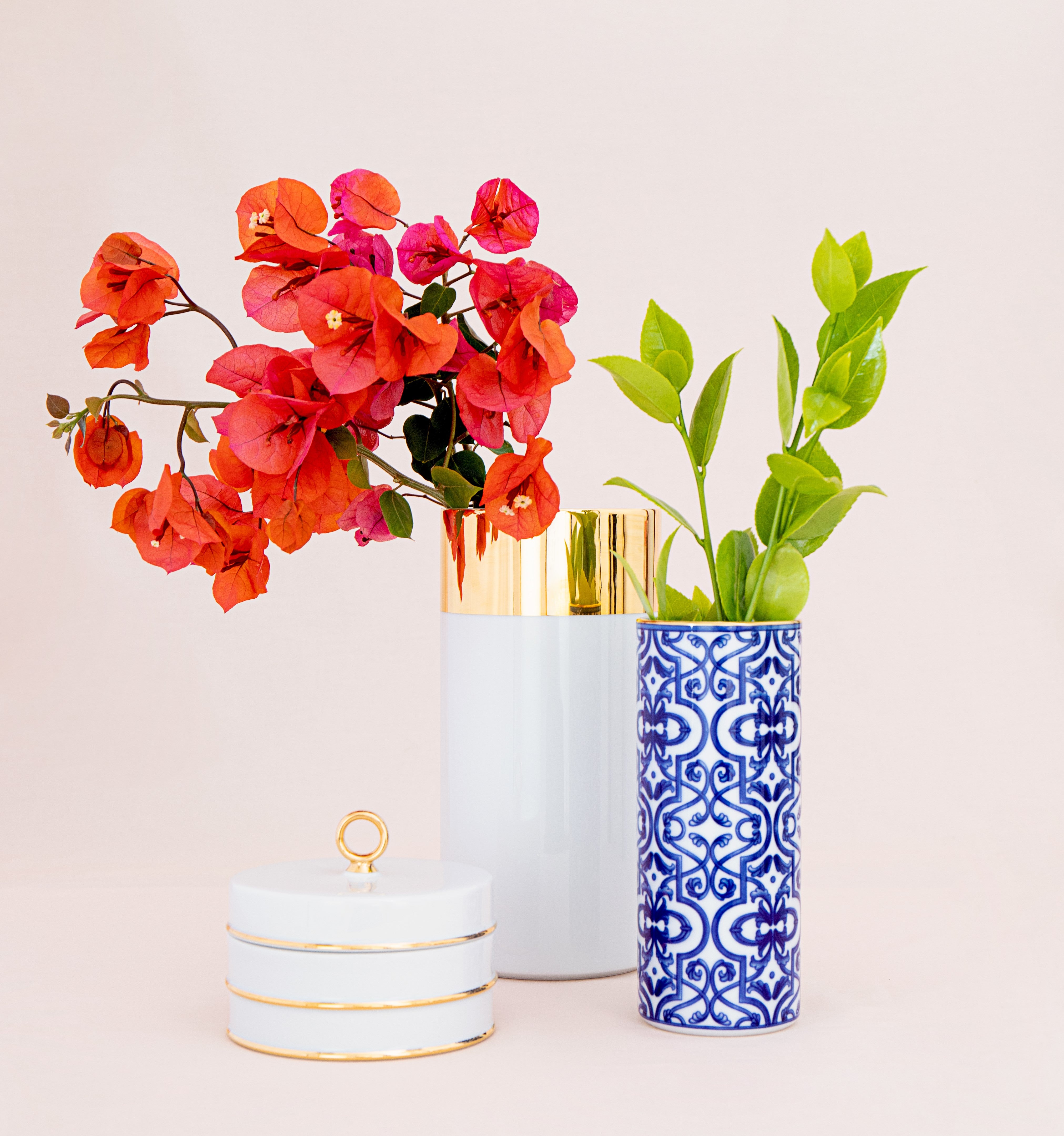 Casanoi Arienne White Box