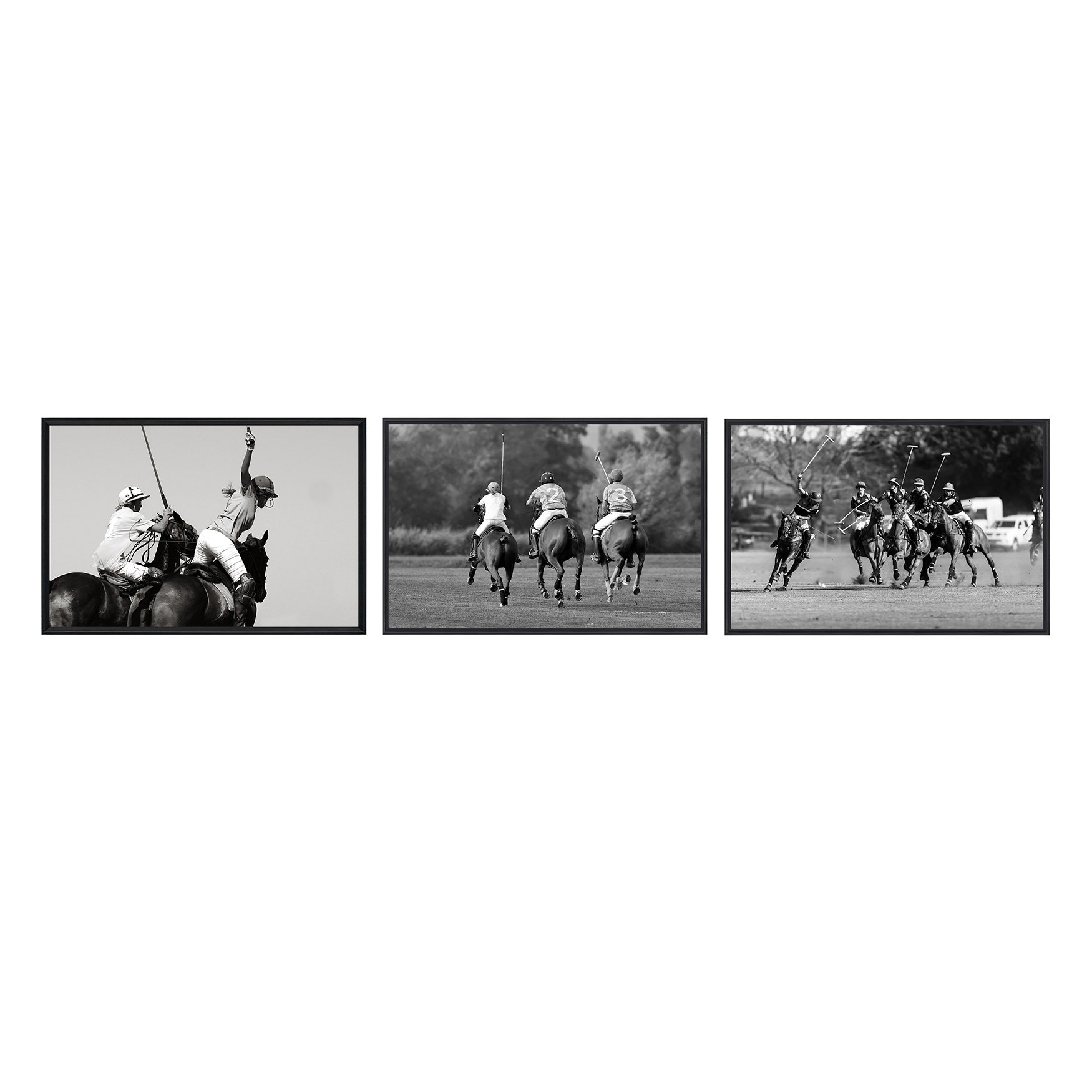 Crestview The Art Of Polo 2