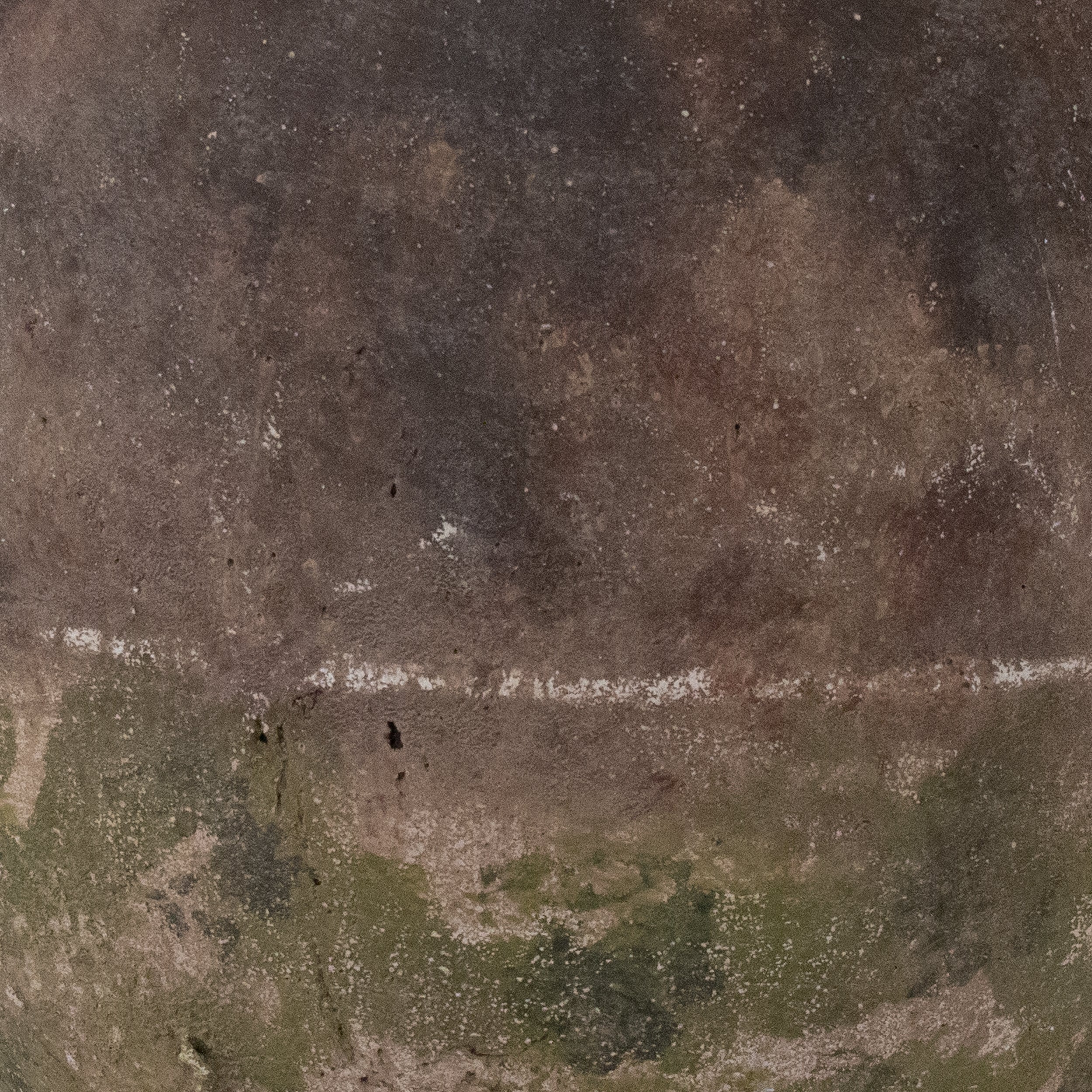 Zentique 17328B176 Zoom