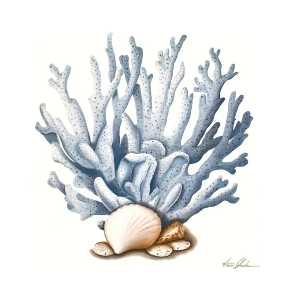 Zentique MareDiCapriCoral