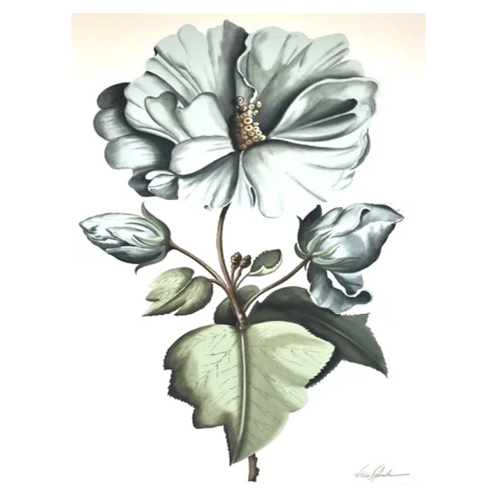 Zentique Peony