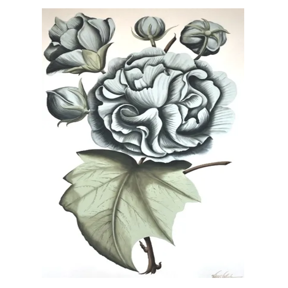 Zentique Peony