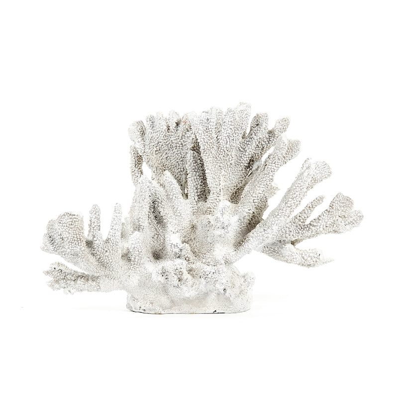 Zentique SHI019