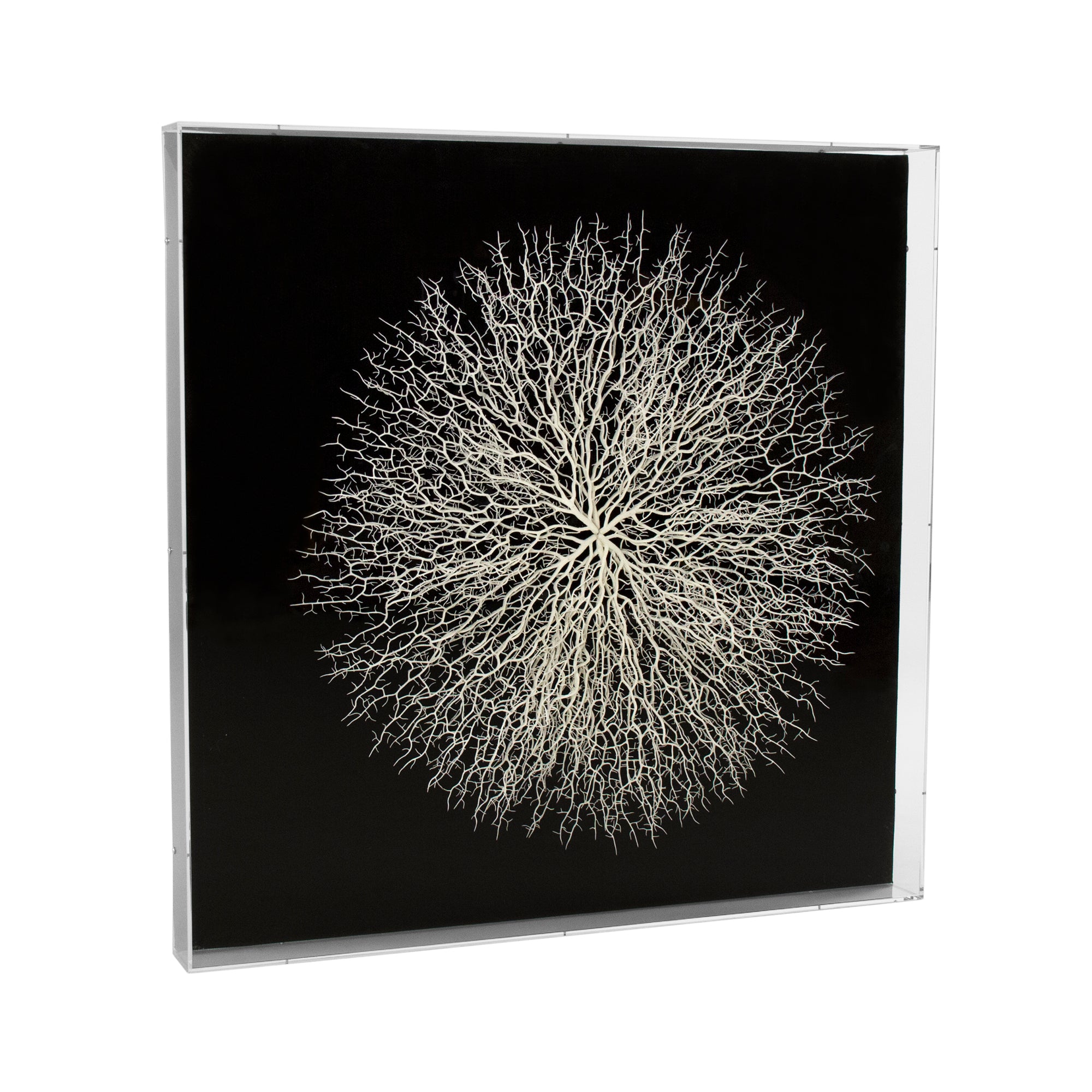 Zentique ZEN35778 2HD