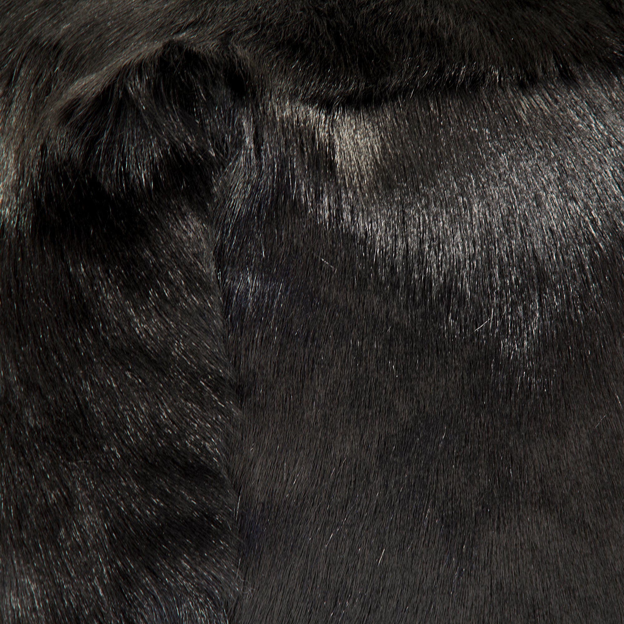 Zentique ZGFC Black 4 HD 394d61f1 A400 4a59 Bd13 C7e1bb94bd
