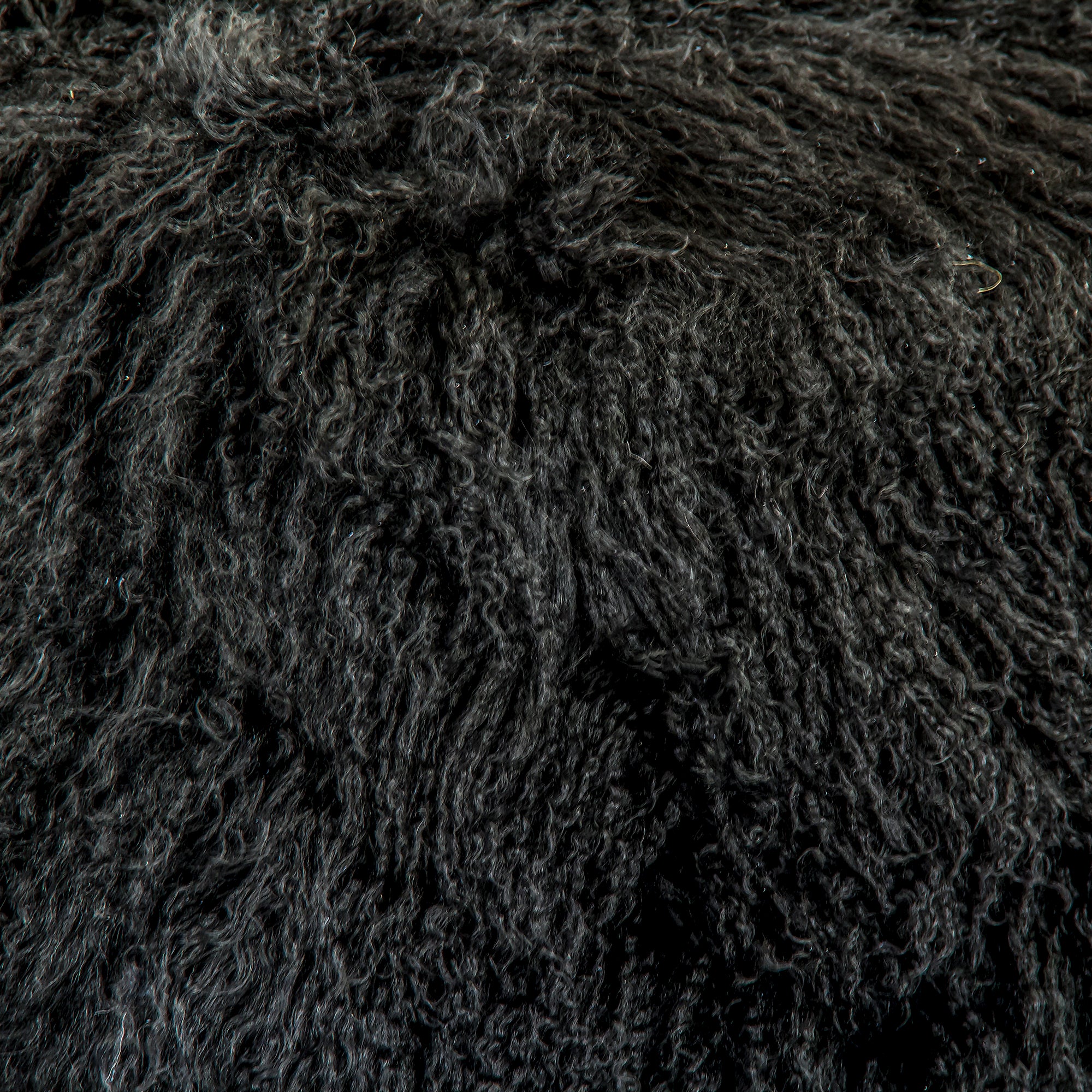 Zentique ZTLFP Black 4 HD C04d8ebc B057 4233 A6b9 B956881b0de