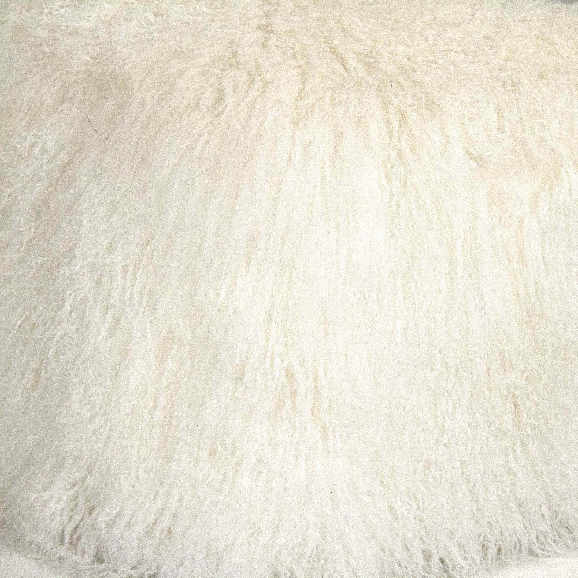 Zentique ZTLFP White 4HD